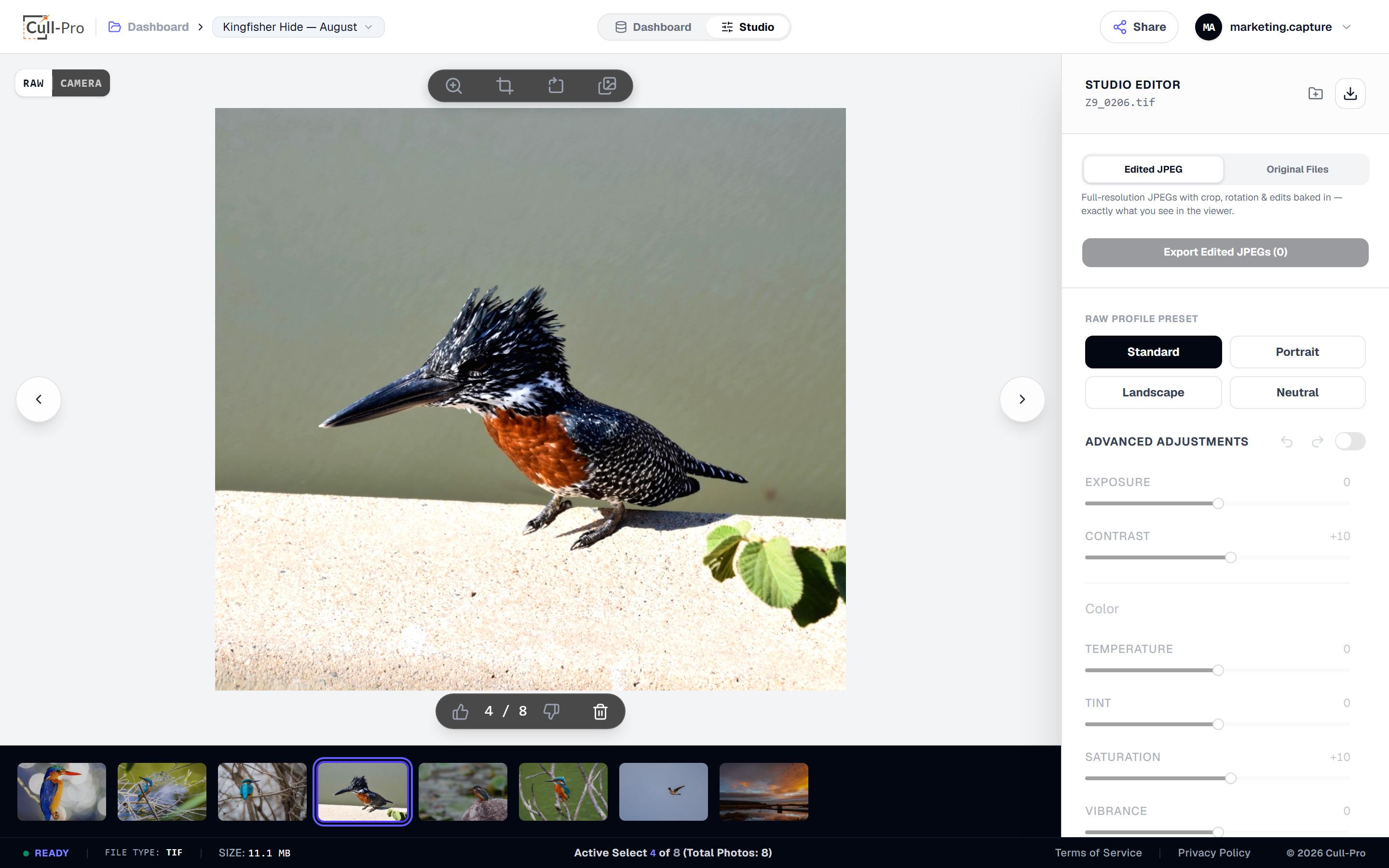 A TIFF file decoded in-browser in Cull-Pro with the RAW and Camera toggle