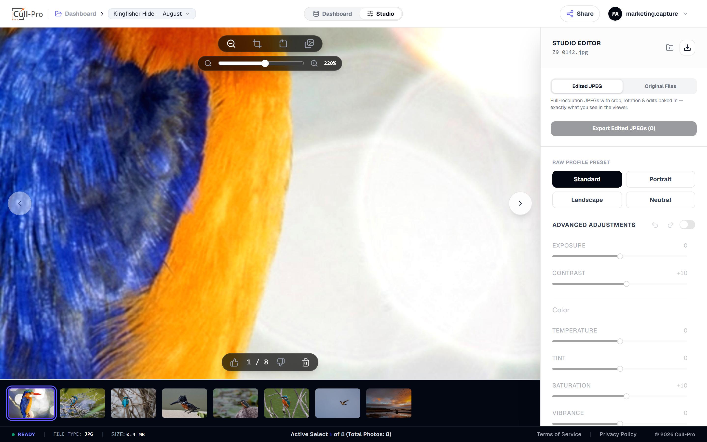 Zooming to pixel-level detail on a kingfisher frame in Cull-Pro